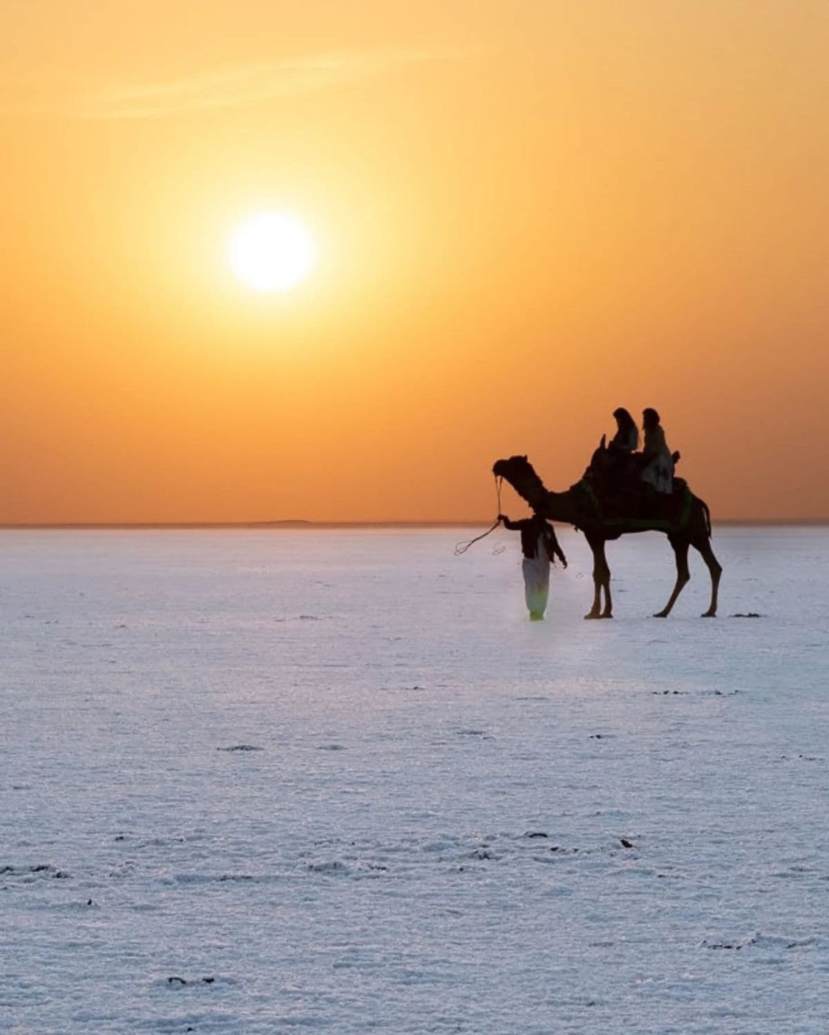 White Desert Tour