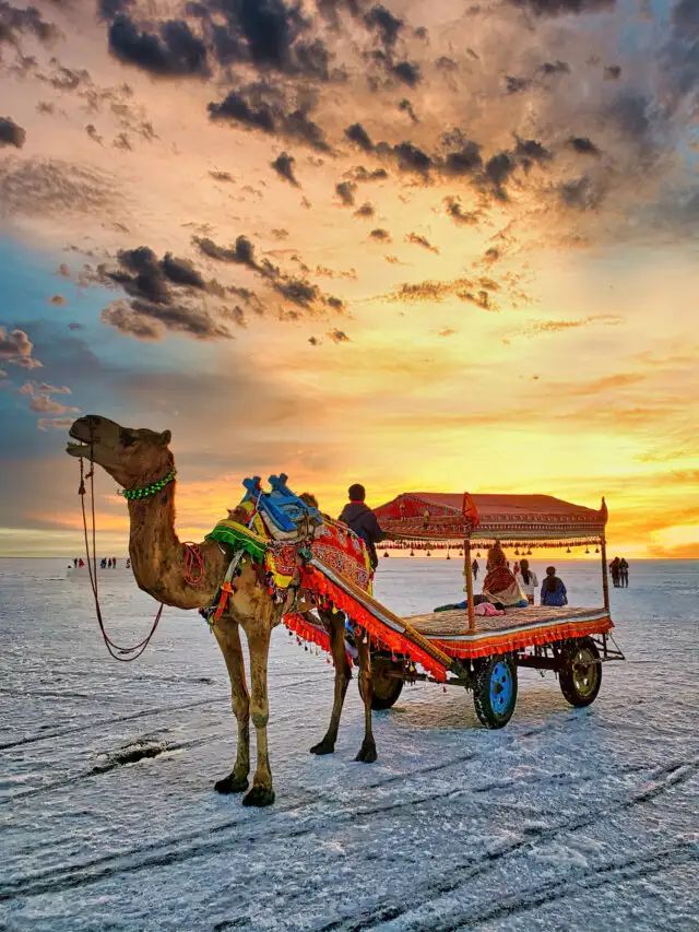 Why Rann of Kutch Should Be on Your 2026–27 Travel Bucket List (And Why You Should Book Early)